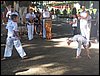 100_0317.JPG
