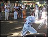 100_0318.JPG