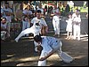 100_0329.JPG