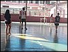 100_0365.JPG