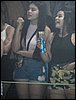 100_0622.JPG