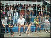 100_0665.JPG