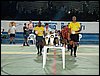 100_1061.JPG
