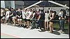 IMG_20240426_201133.jpg