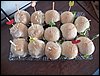 100_2498.JPG