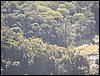 100_3302.JPG
