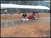 100_3316.JPG