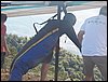 100_3320.JPG