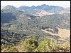 100_3341.JPG