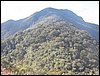 100_3342.JPG