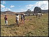 100_3368.JPG