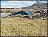 100_3371.JPG