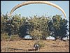 100_3415.JPG