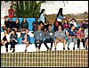 100_3636.JPG