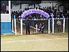 100_3716.JPG