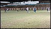 IMG_20240730_211146.jpg