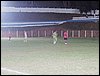 SAM_2506.JPG