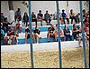 100_4085.JPG
