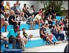 100_4107.JPG