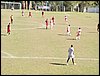 100_4186.JPG