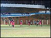100_4249.JPG