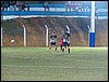100_4265.JPG