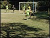 P8170013.JPG