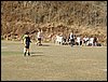 P8170018.JPG
