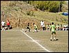 P8170020.JPG
