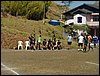 P8170031.JPG