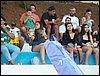 100_4803.JPG