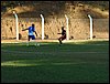 P8170017.JPG
