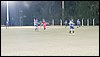 IMG_20240827_191157.jpg