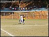 100_5333.JPG