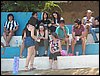 100_5419.JPG