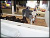100_5489.JPG