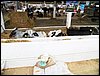 100_5491.JPG