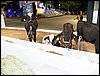 100_5492.JPG