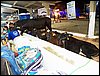 100_5496.JPG
