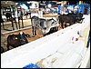 100_5497.JPG