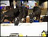 100_5498.JPG