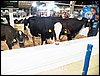 100_5499.JPG