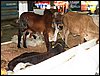 100_5512.JPG