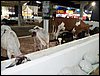 100_5517.JPG