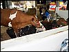 100_5519.JPG