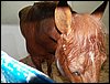 100_5525.JPG
