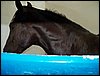100_5533.JPG
