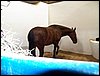 100_5535.JPG