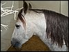 100_5536.JPG