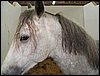 100_5538.JPG